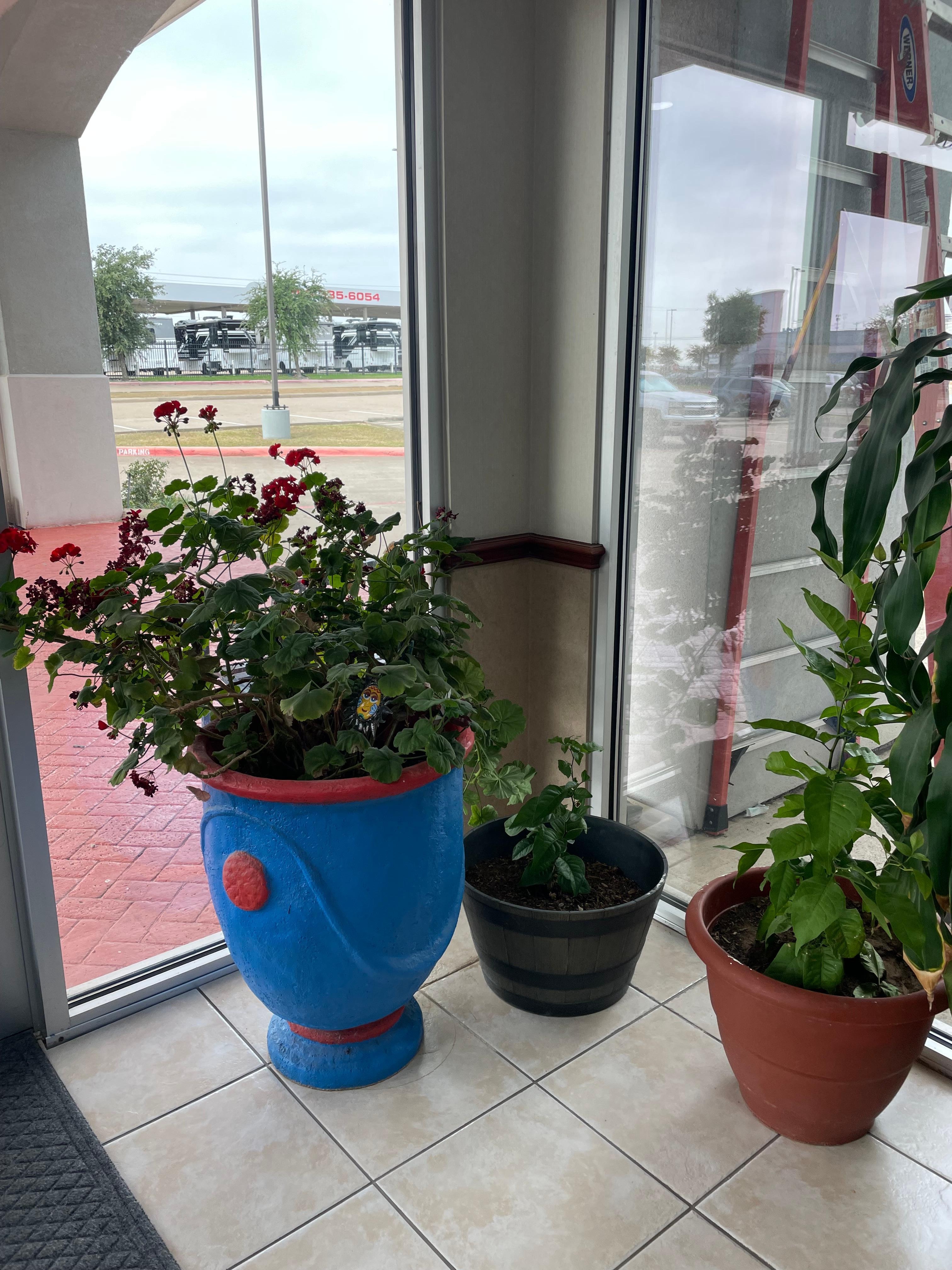 Plants in front atrium