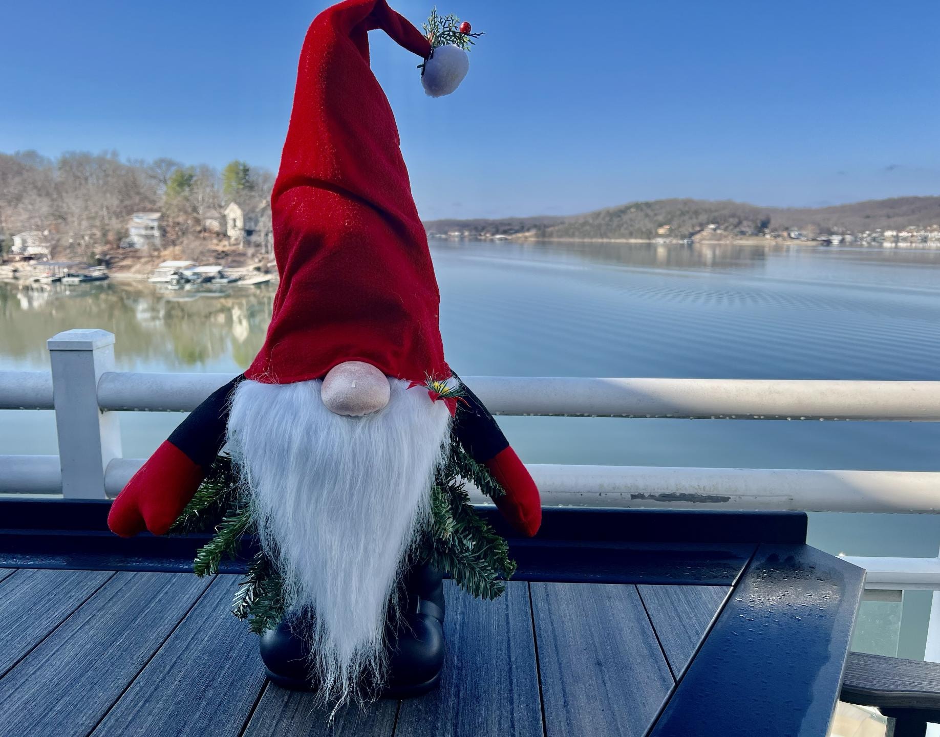 It was a gnomie kind of Christmas