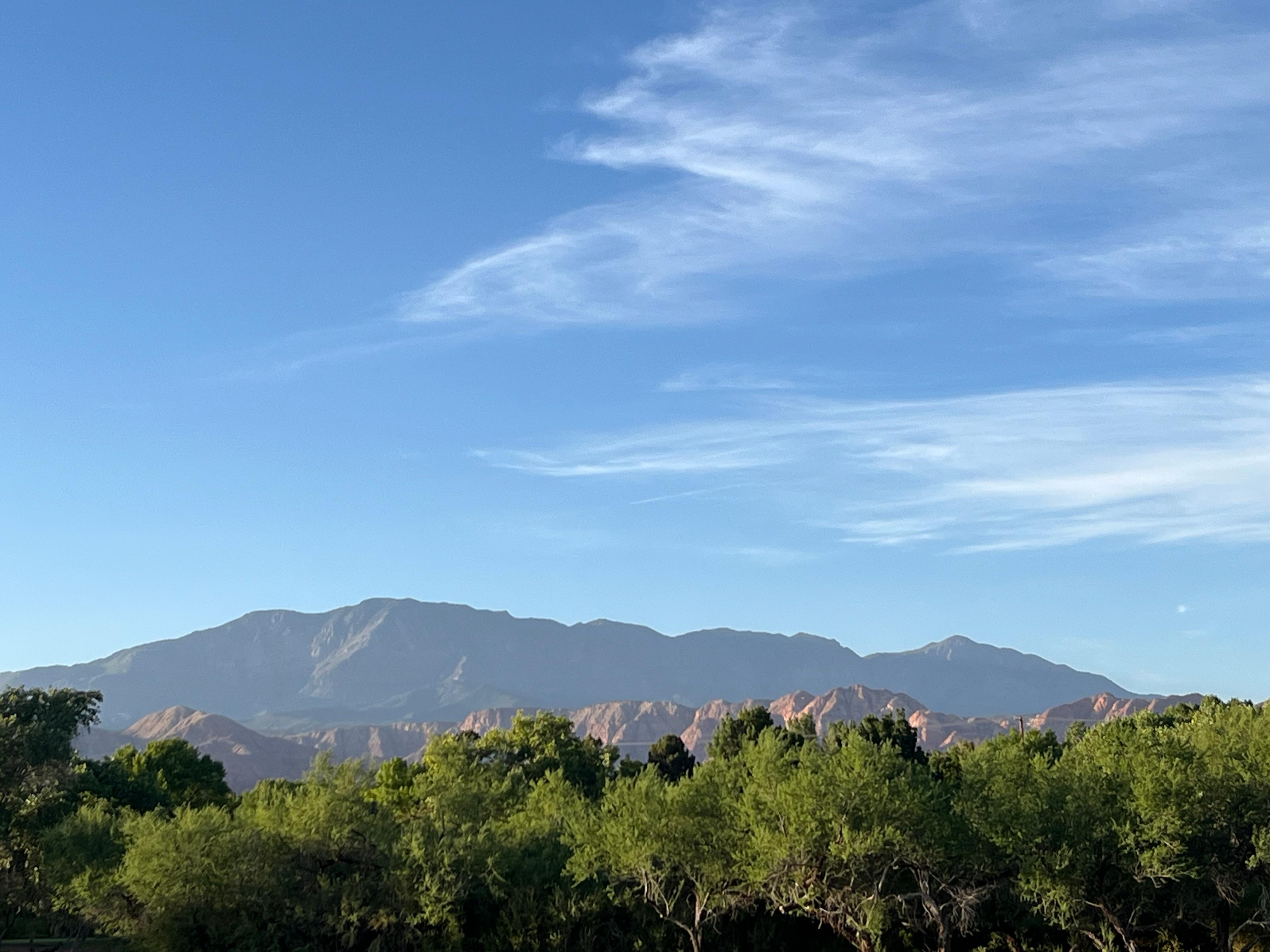 View from the patio area