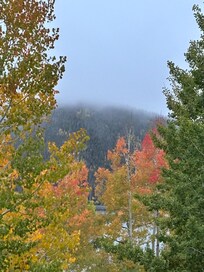 Autumn color