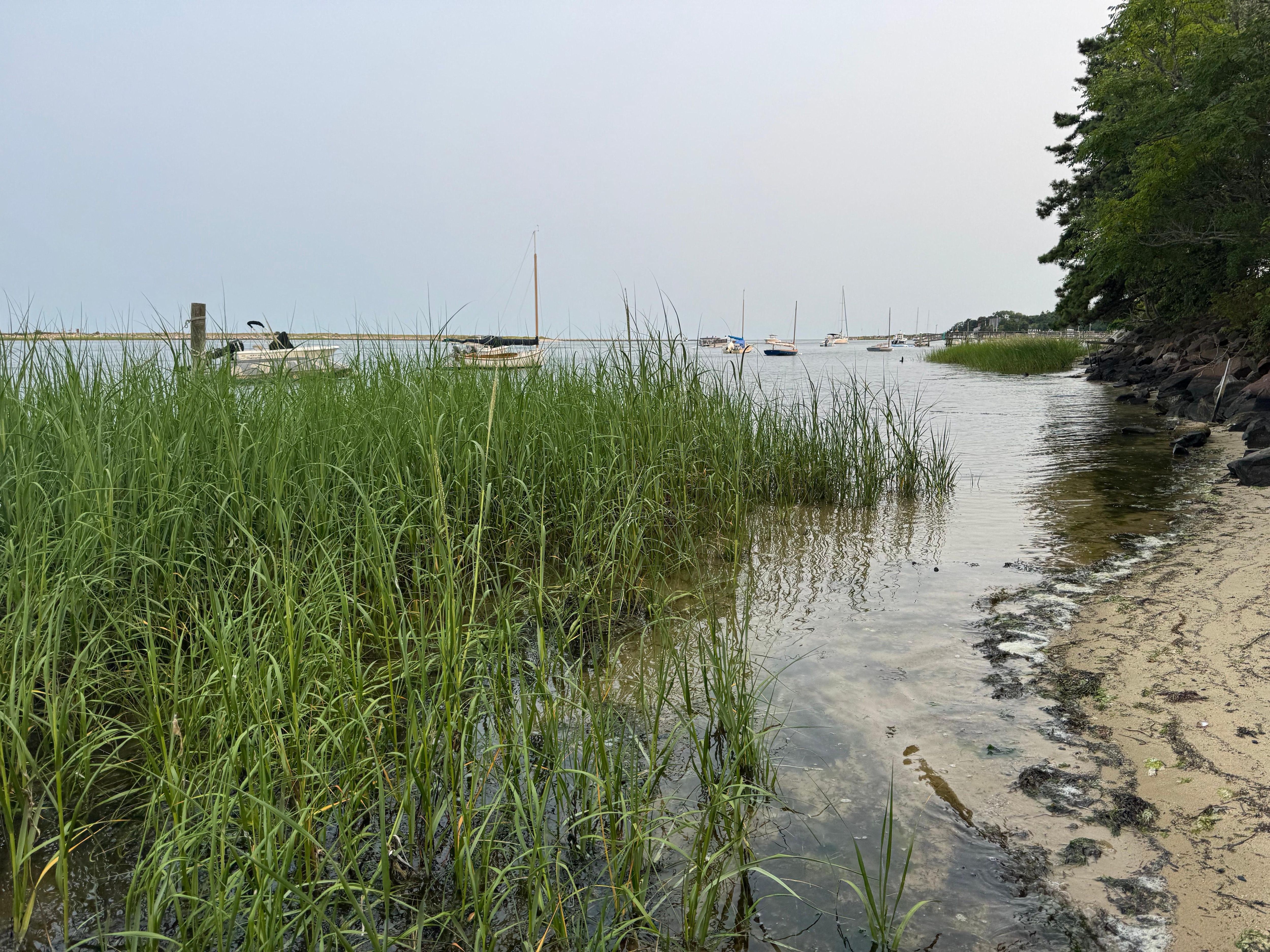 beach across the street from the house