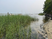 beach across the street from the house