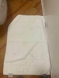 The towel that hangs in the tub stained