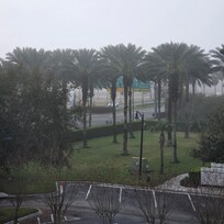 Highway from the Balcony