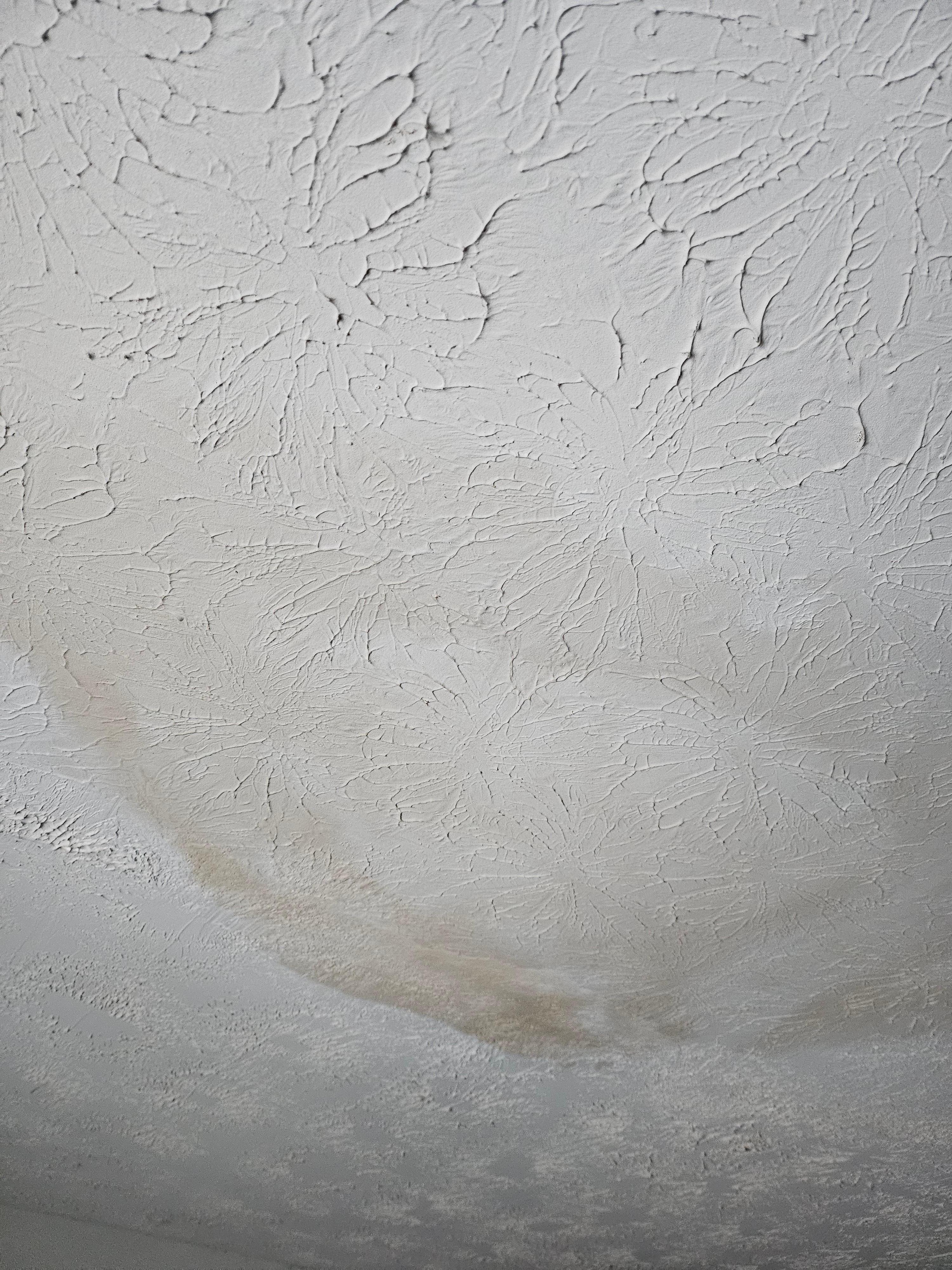 Another example of ceiling stains