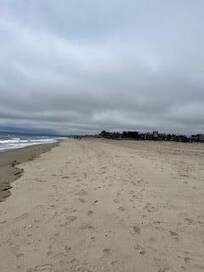 Huge empty beach in July!