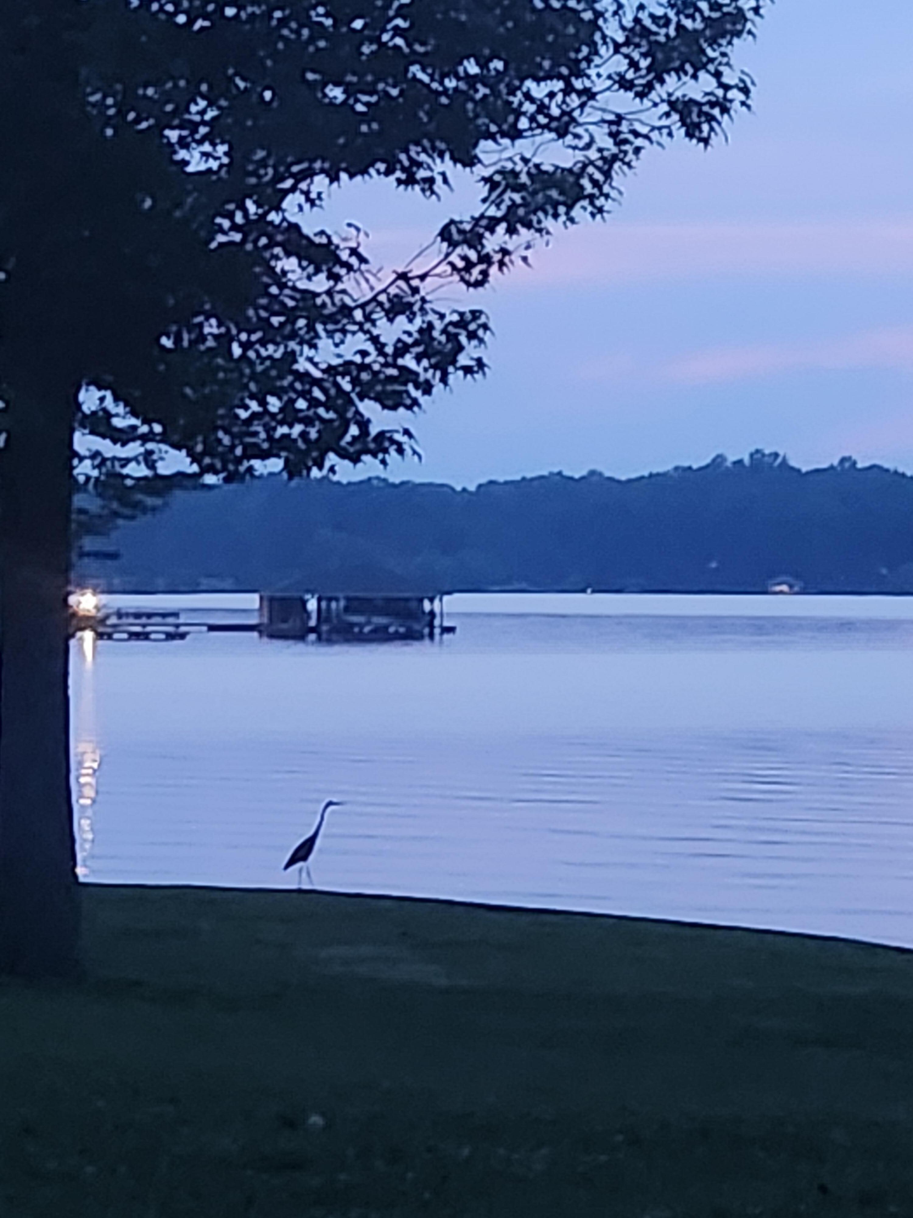 Beautiful view from the deck
