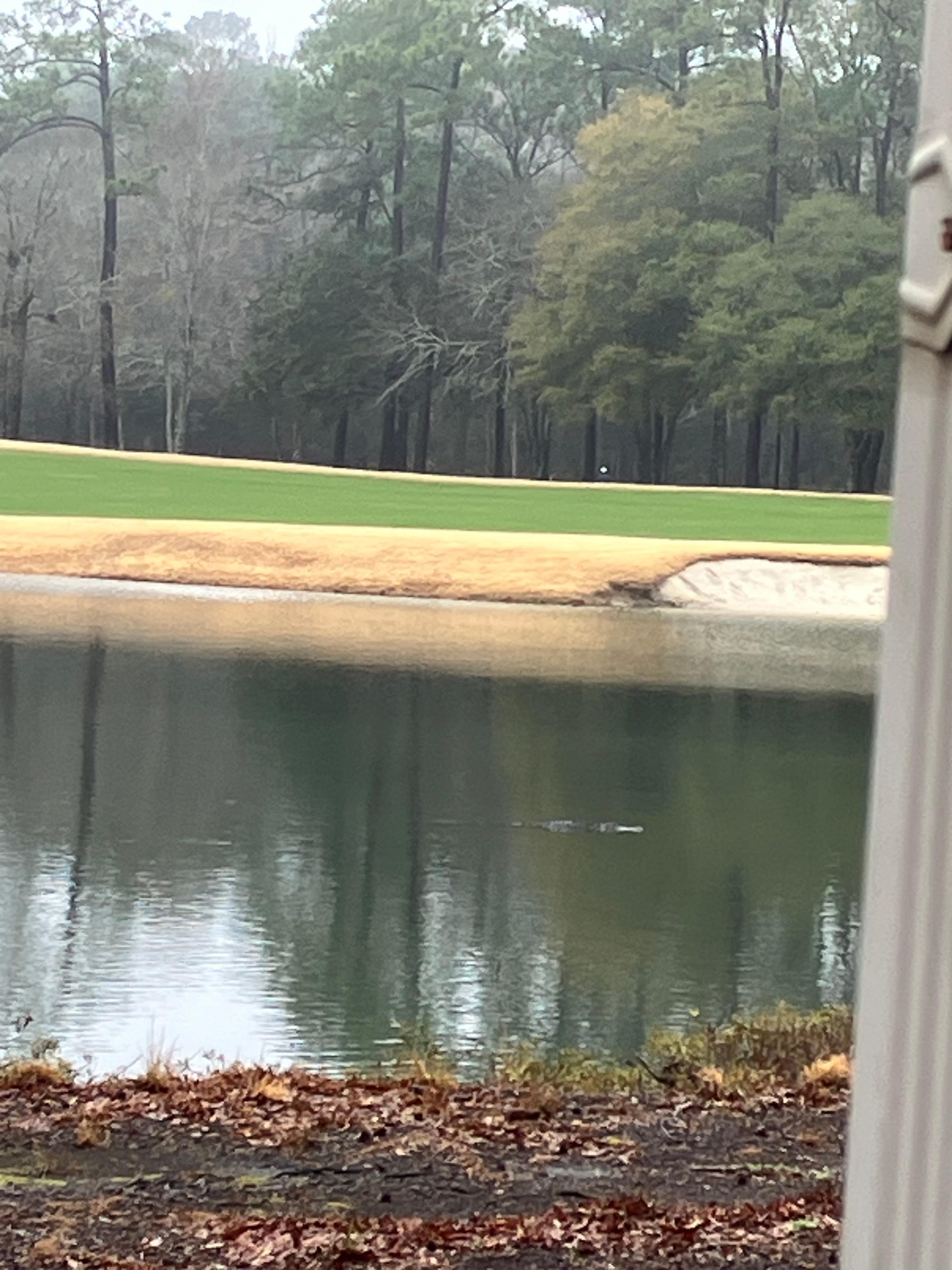 Looking out at the lake.  So peaceful.
