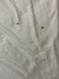 Nasty stained sheets