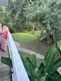 Girls spotted deer in the corner.