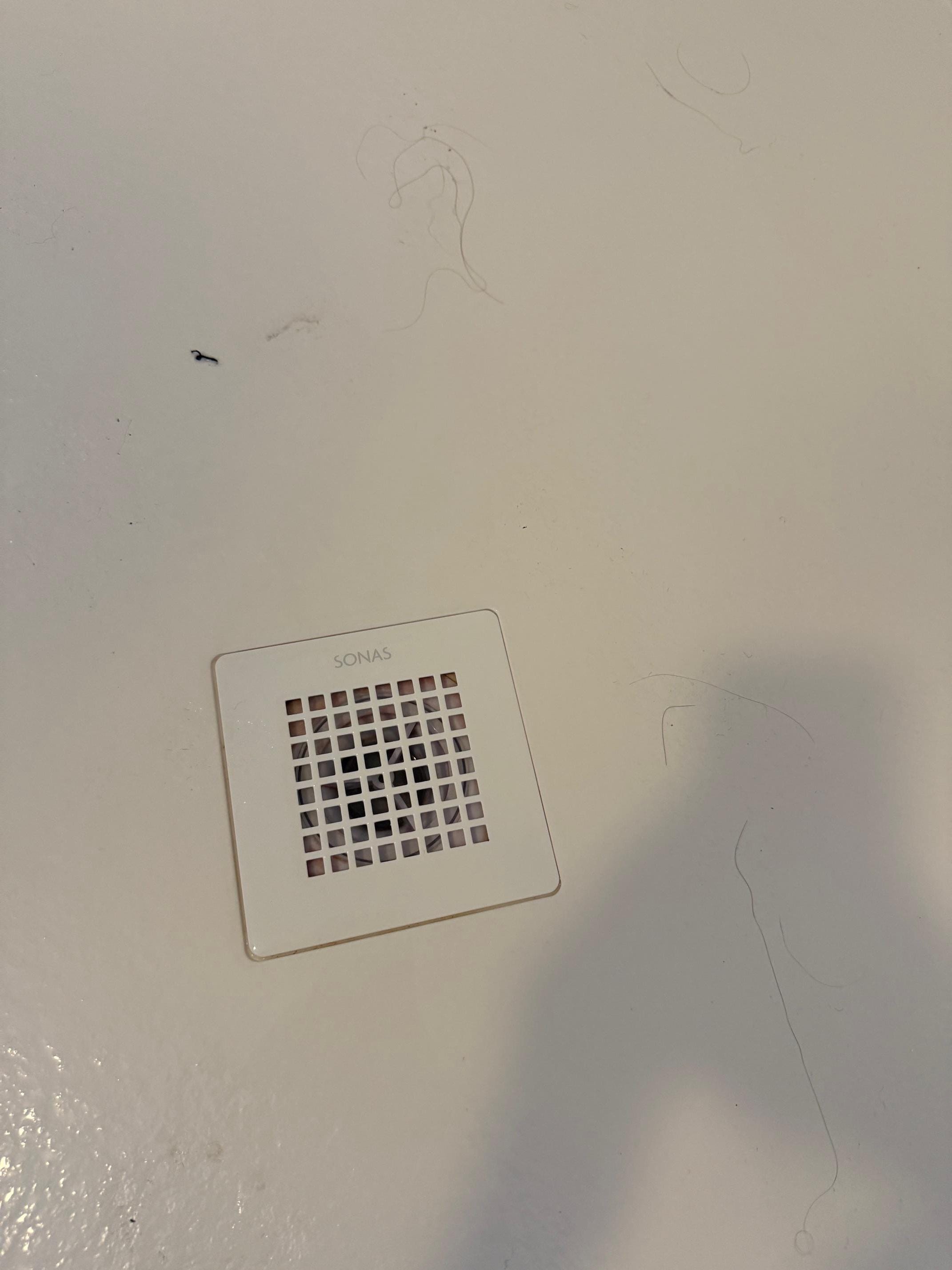 Hair and detritus left in the shower