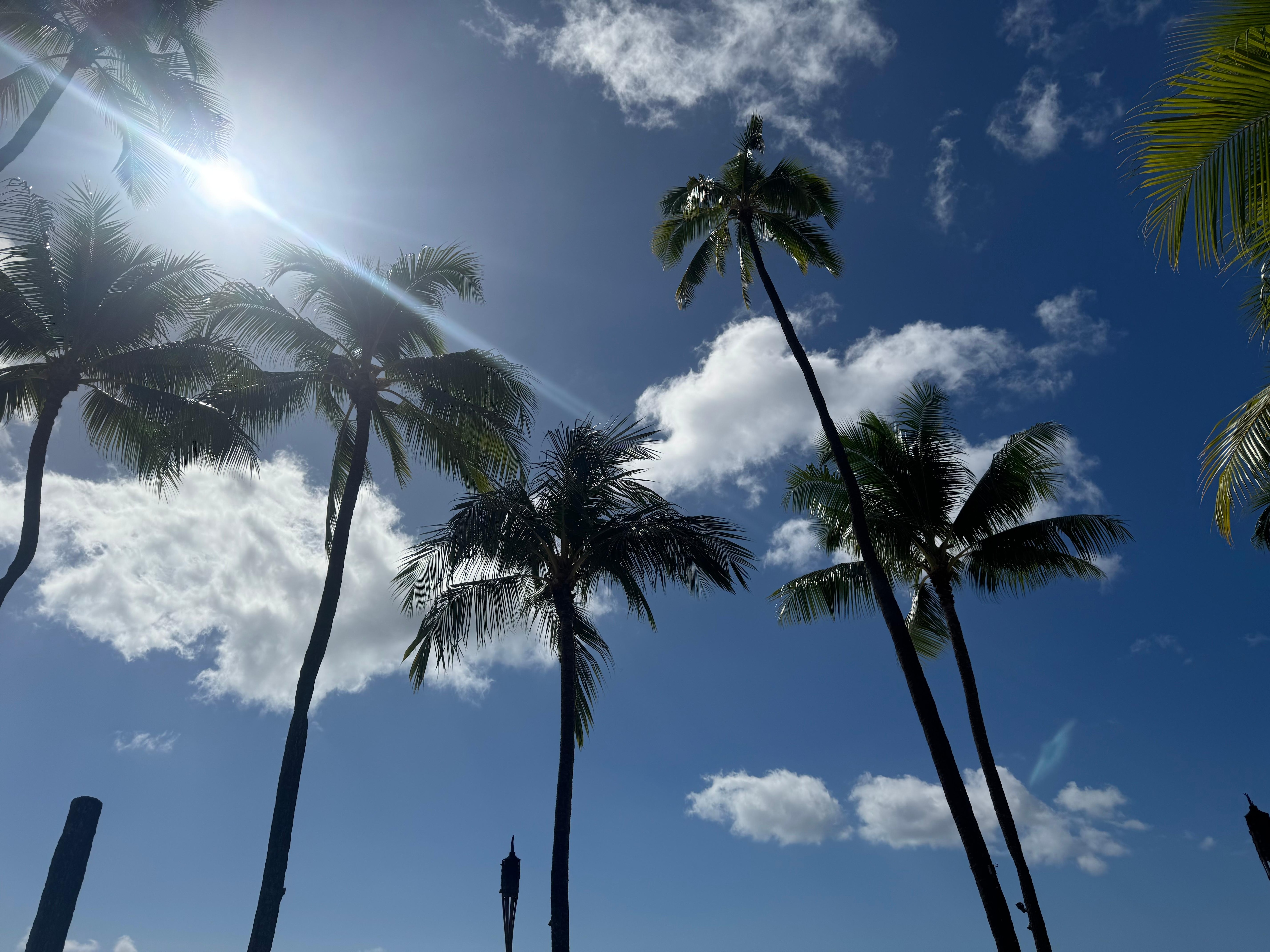 Taken right downstairs of the hotel. Right on Waikīkī beach.