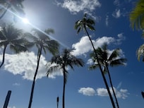 Taken right downstairs of the hotel. Right on Waikīkī beach.