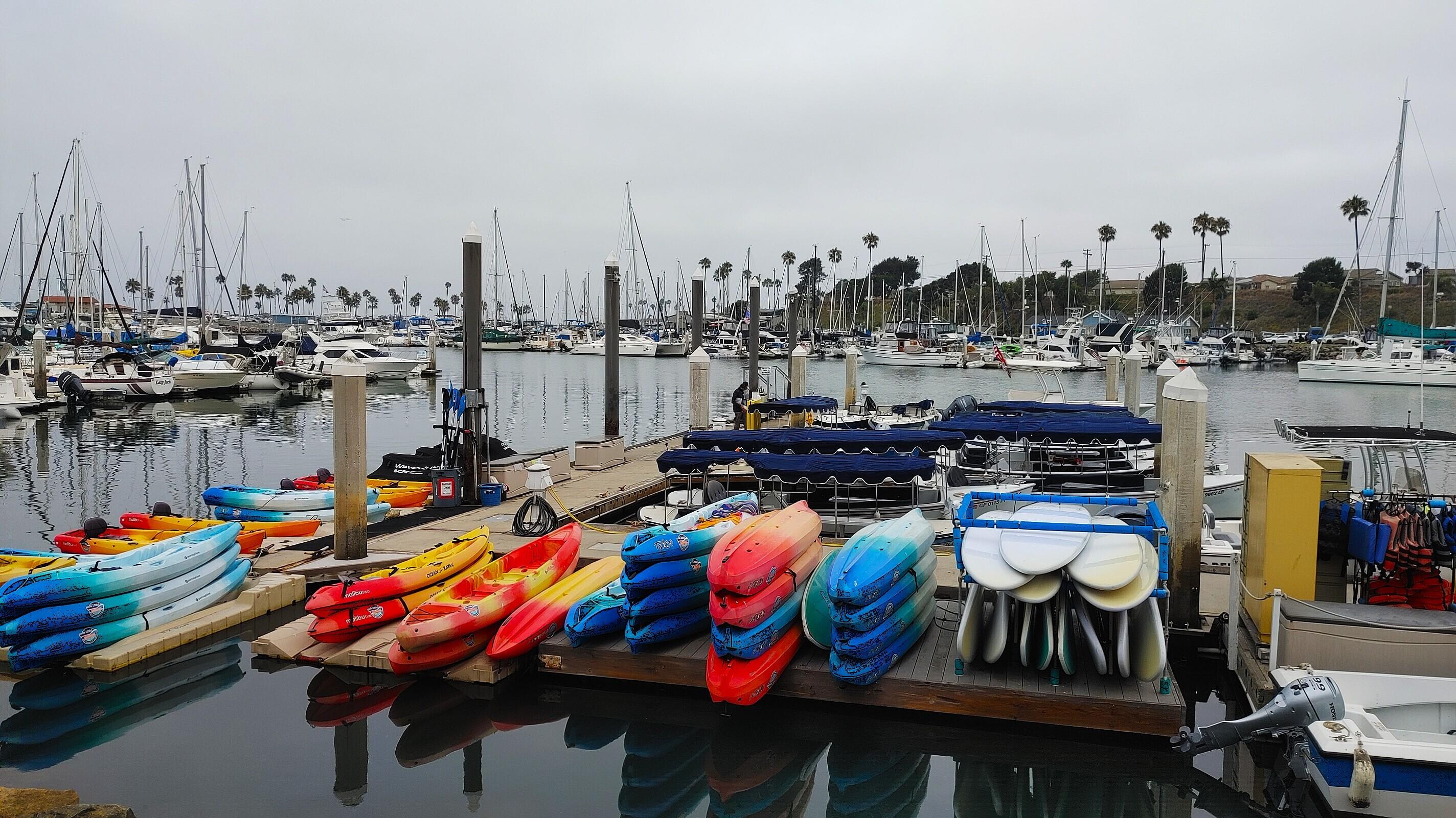 Oceanside Harbor - Book a whale sightseeing cruise