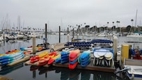 Oceanside Harbor - Book a whale sightseeing cruise