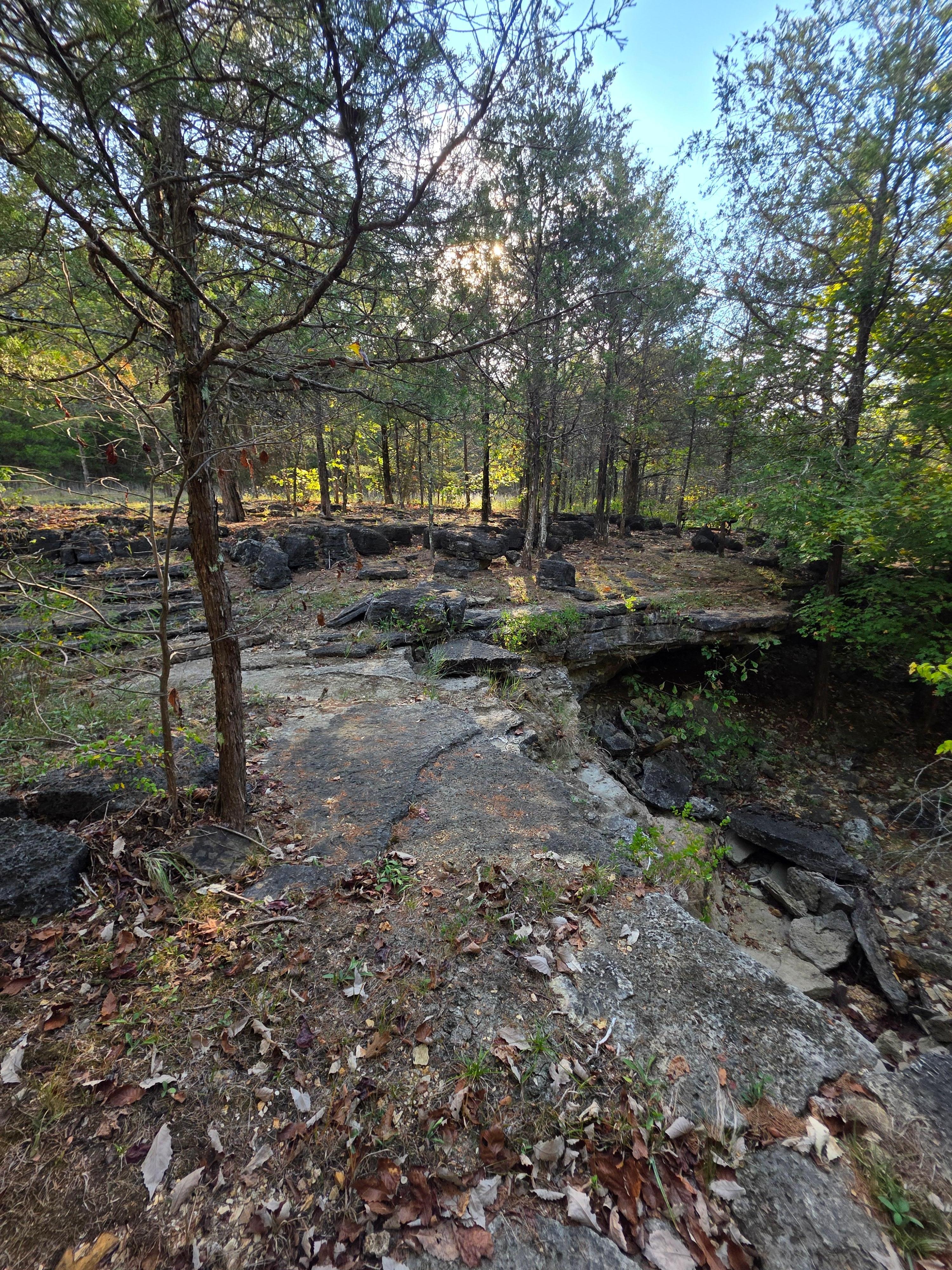 The trails are great and well marked.
