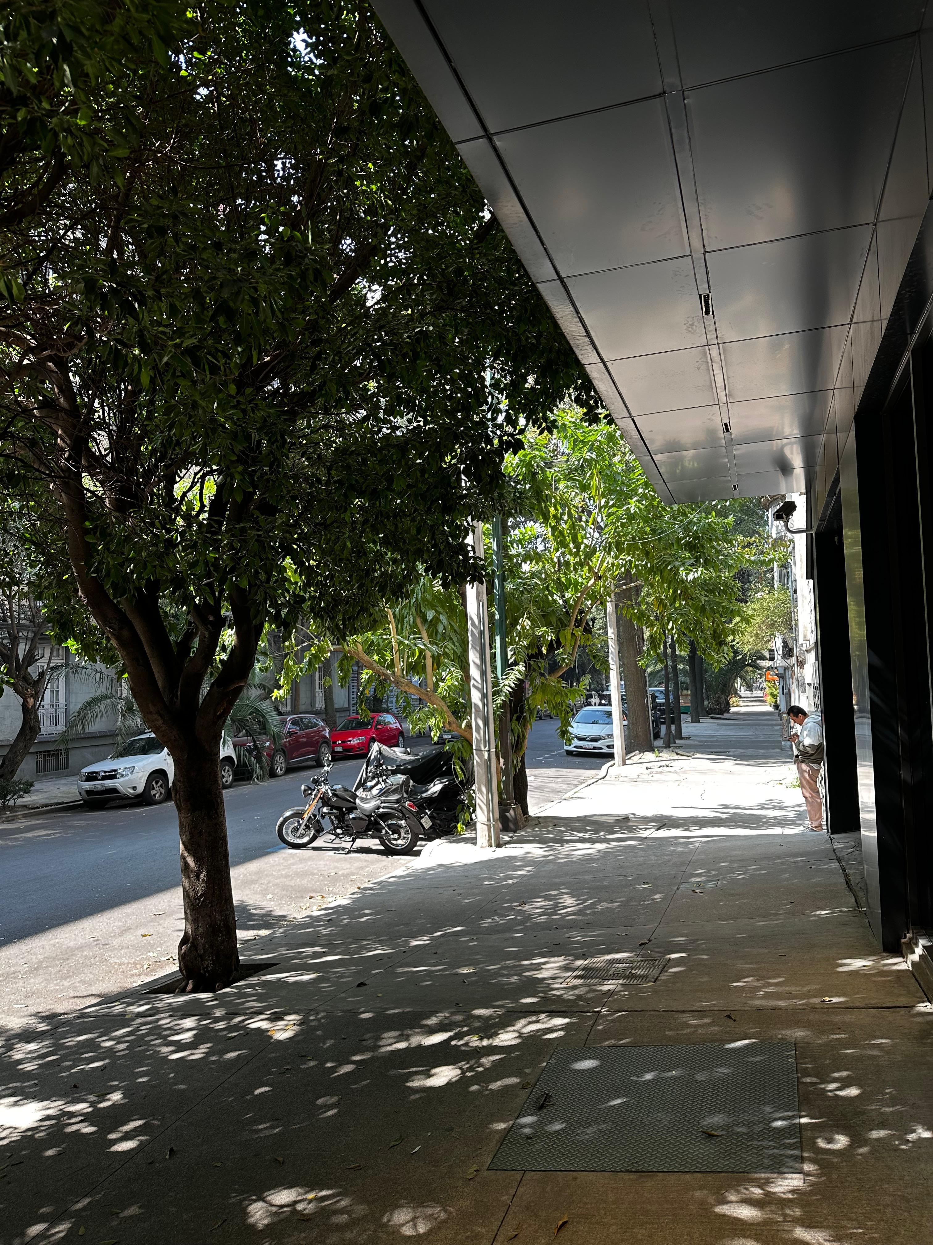 Street was really peaceful. 