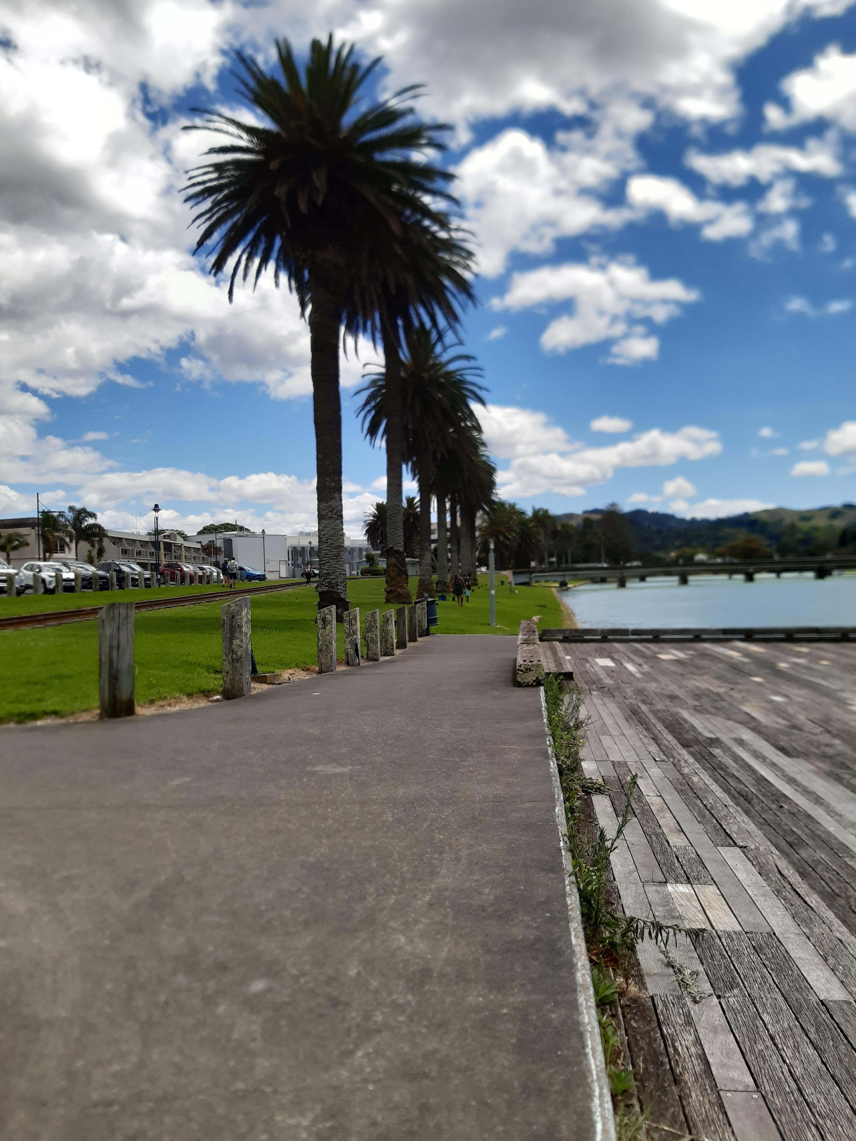 Walk along the riverside