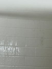 Visible hand print and other filth in shower