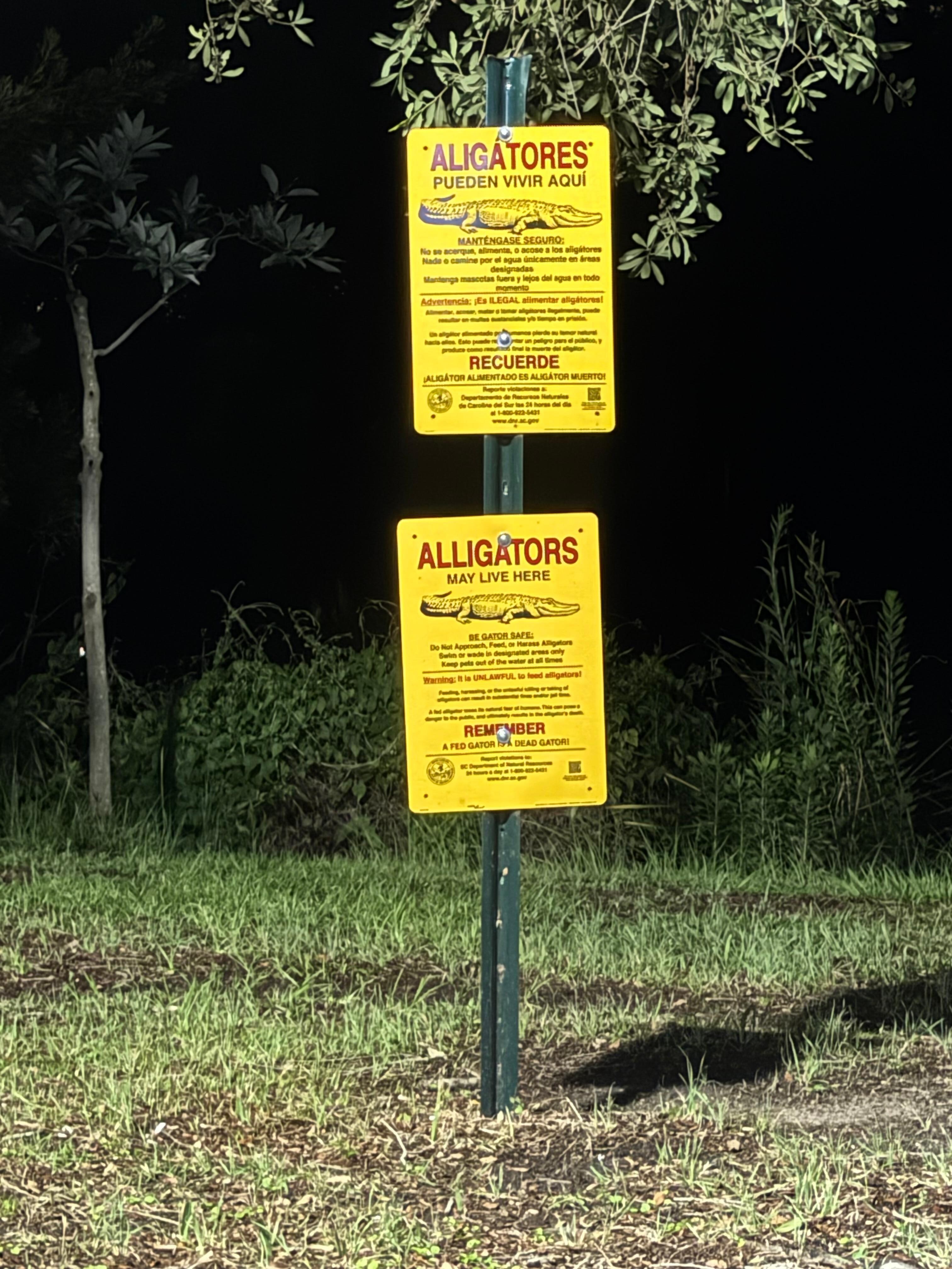Alligator sign by the hotel