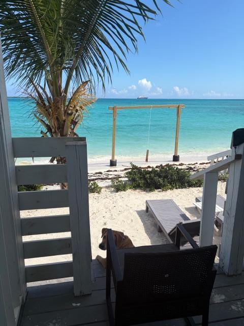 View directly from back door.