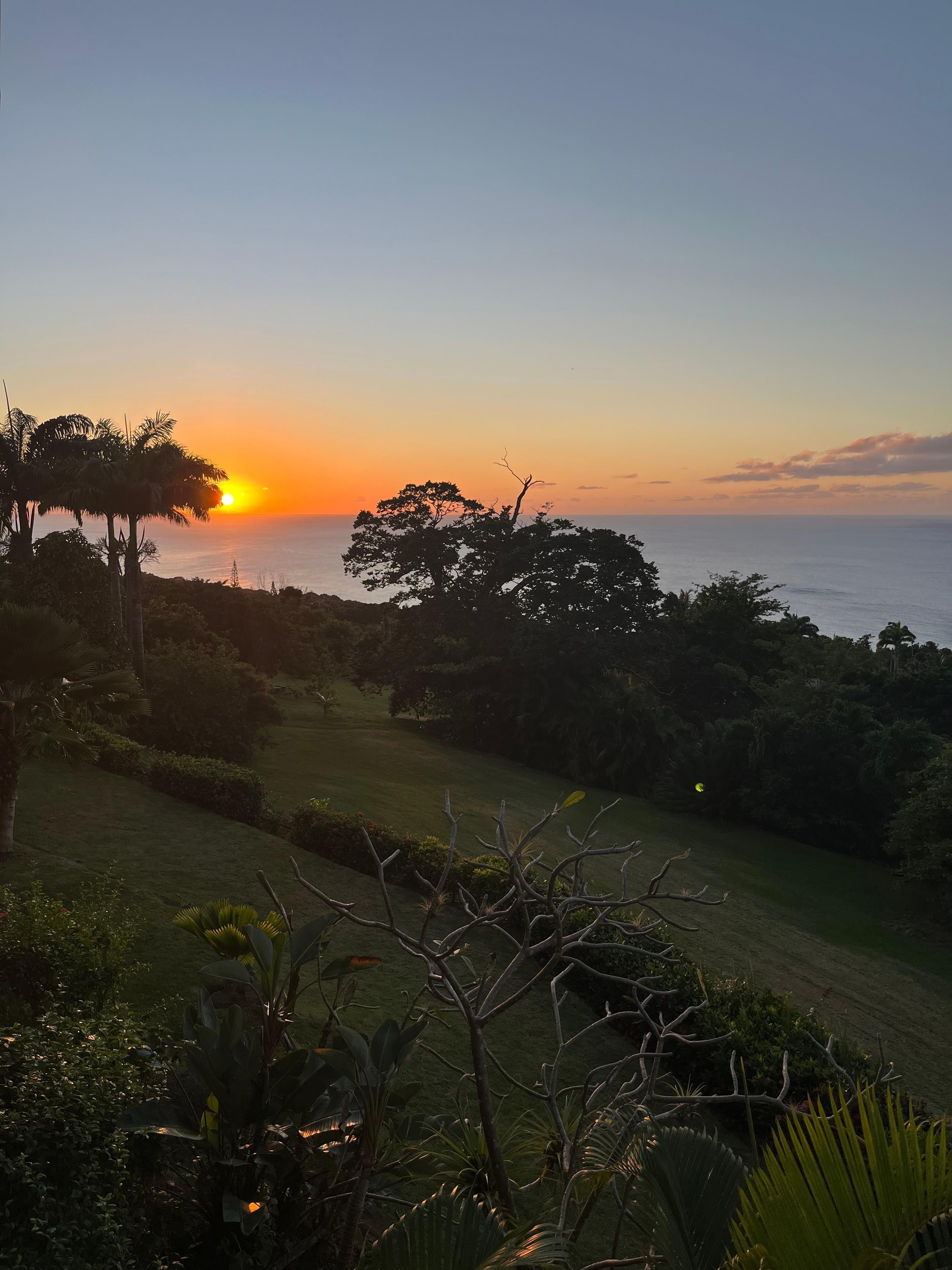 Mesmerizing sunsets!