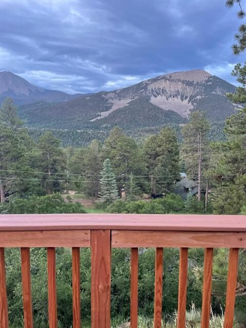 3 Sister from the porch