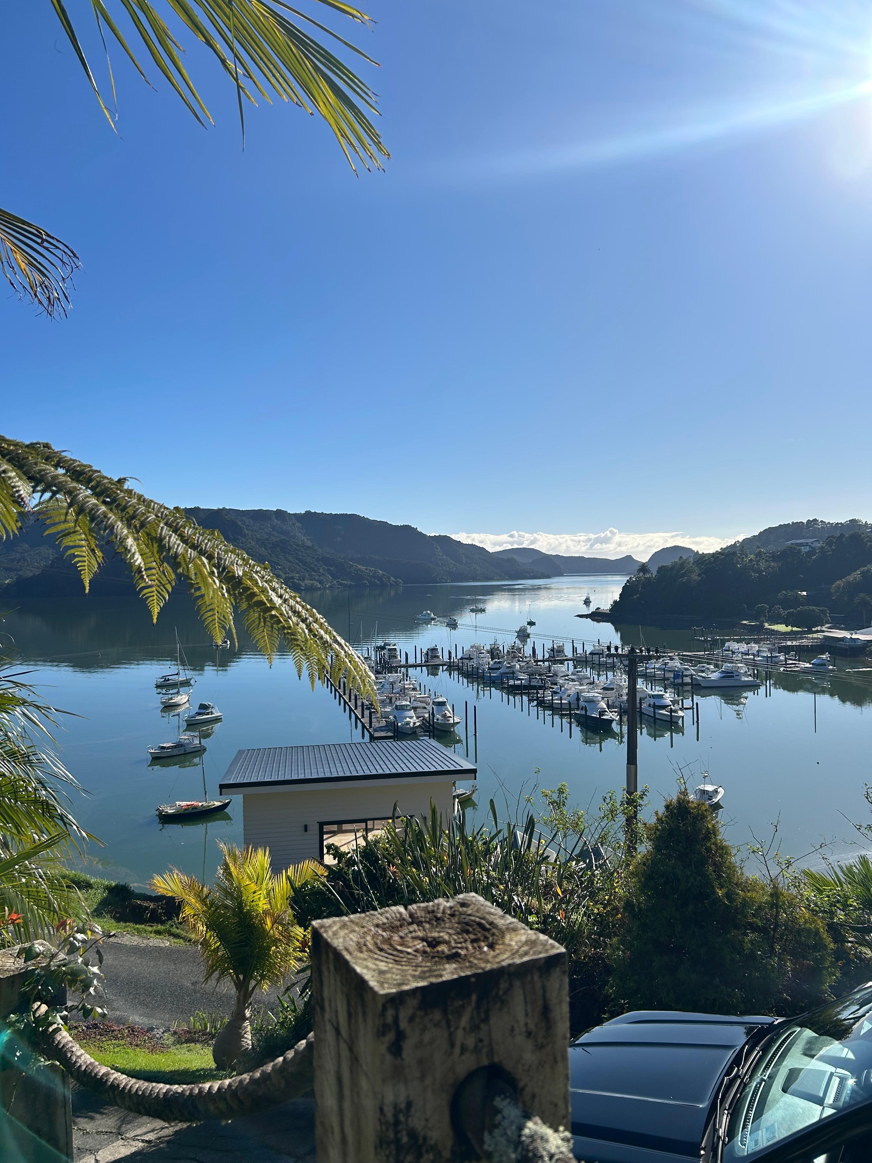 Overlooking the harbour 