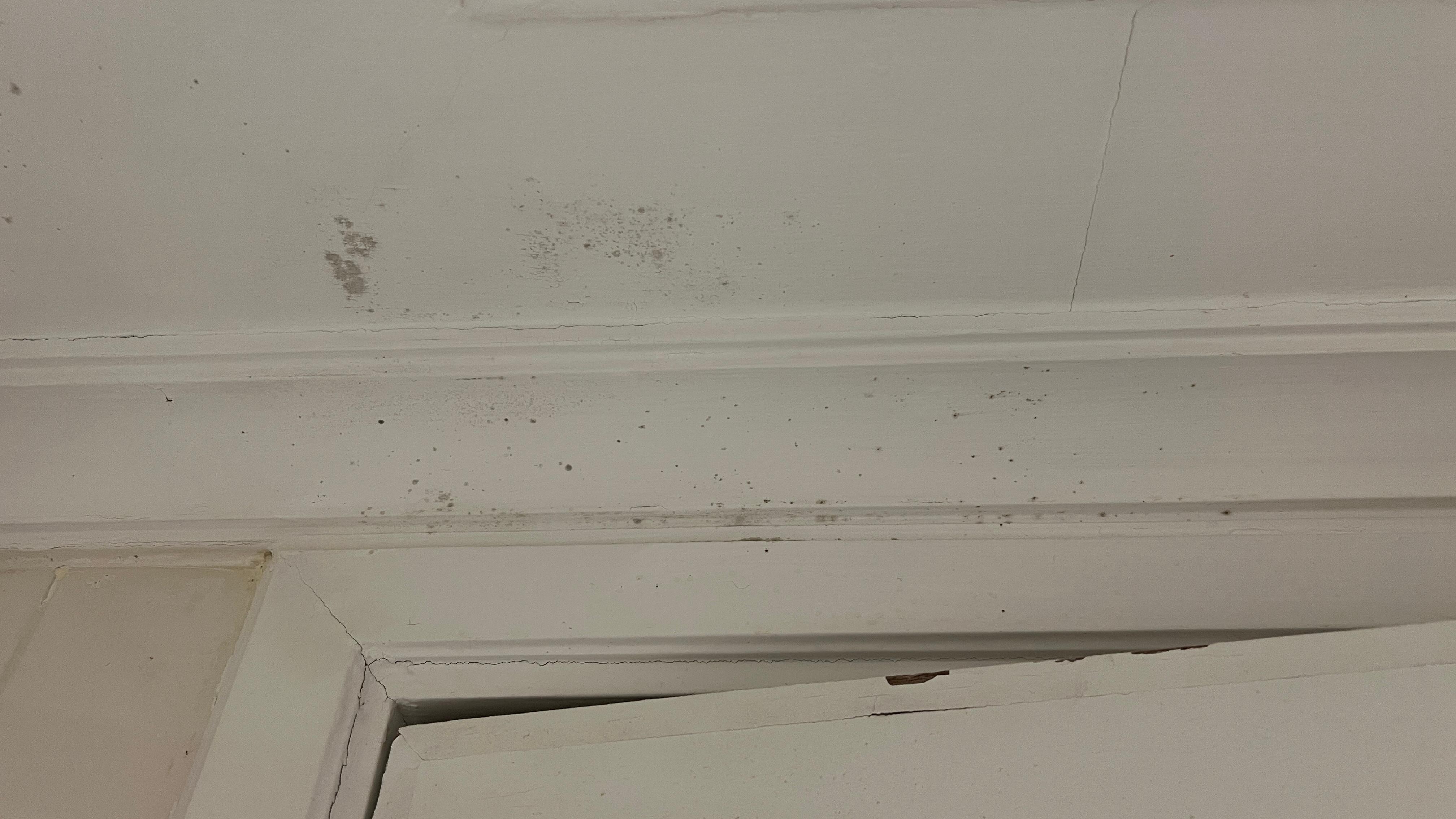 Mold found at bathroom