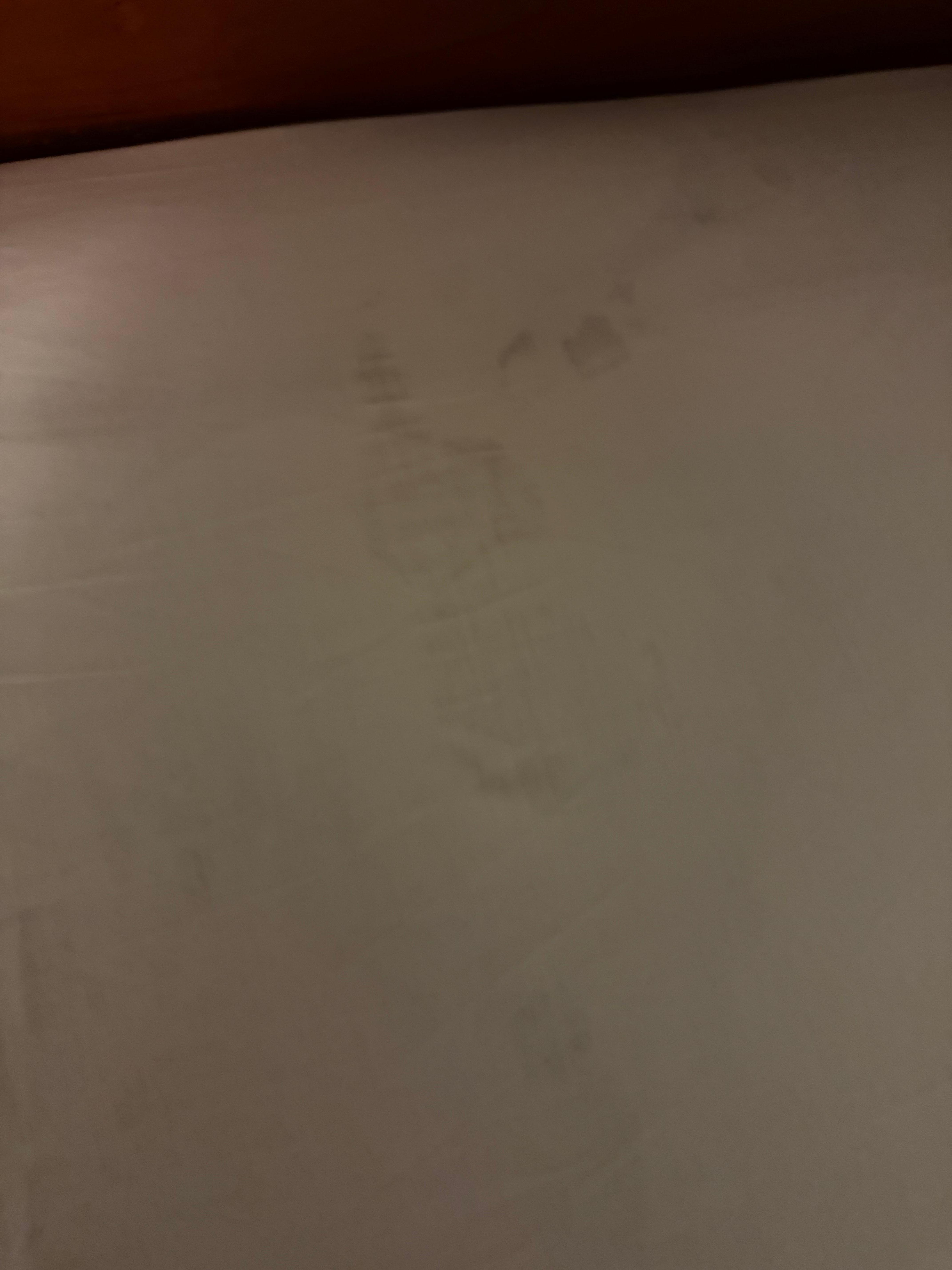 Main bedroom king bed sheets