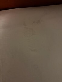 Main bedroom king bed sheets