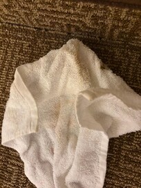 crusty towel.
