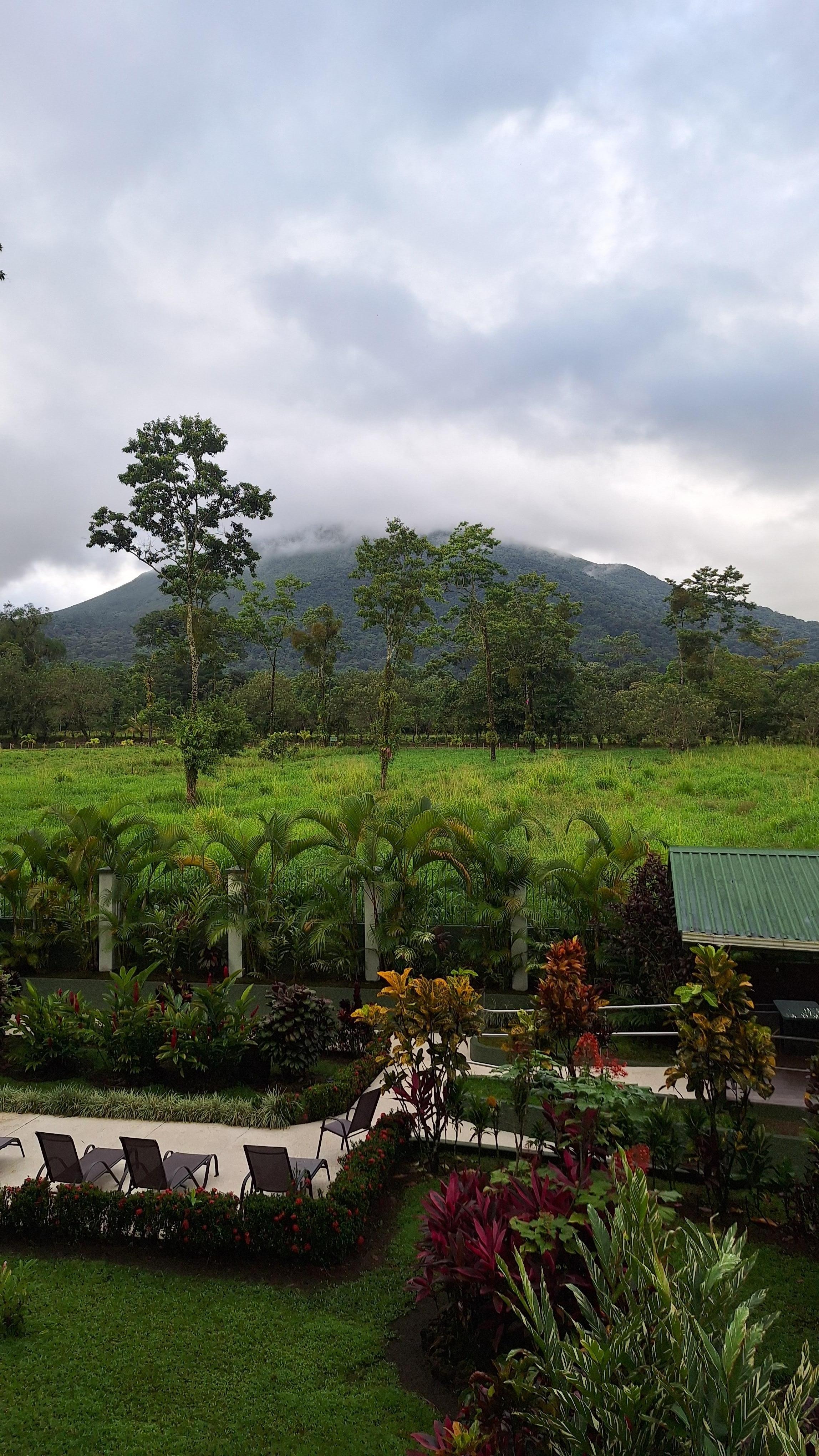 La vista desde la habitación