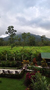 La vista desde la habitación