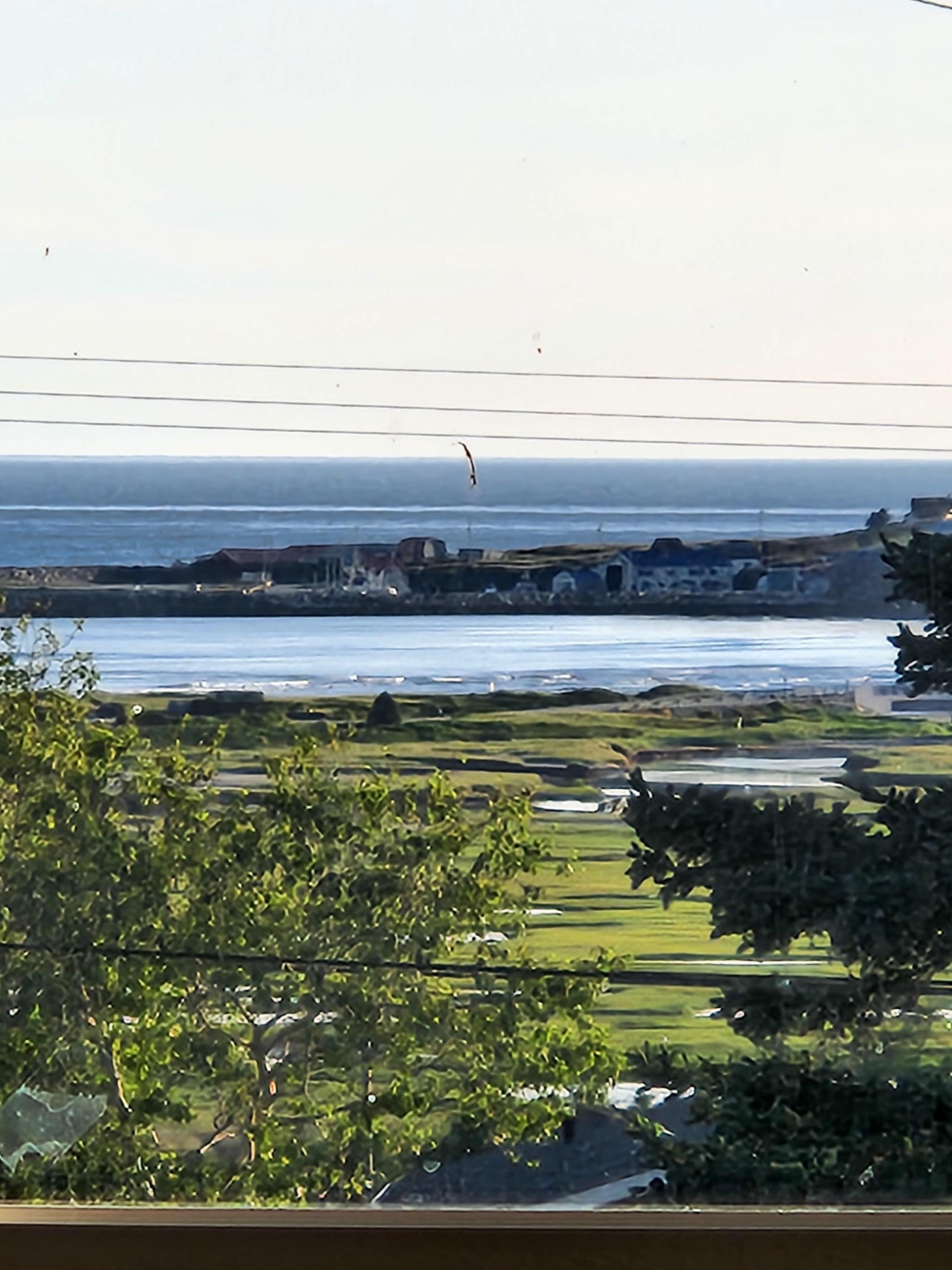 View from the living room.
