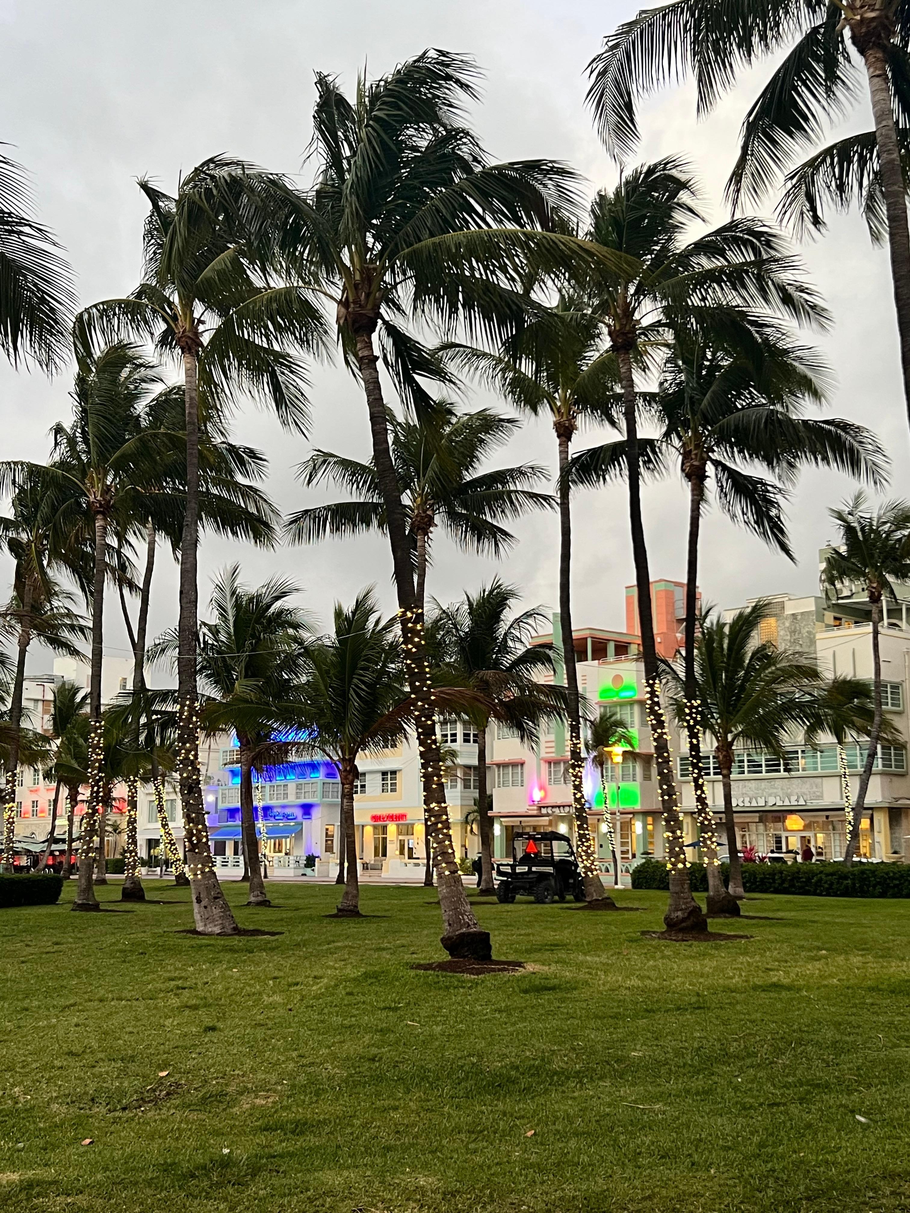 Just down the beach walk!
