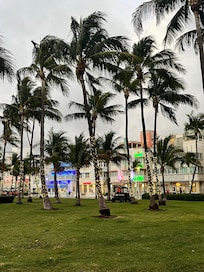 Just down the beach walk!