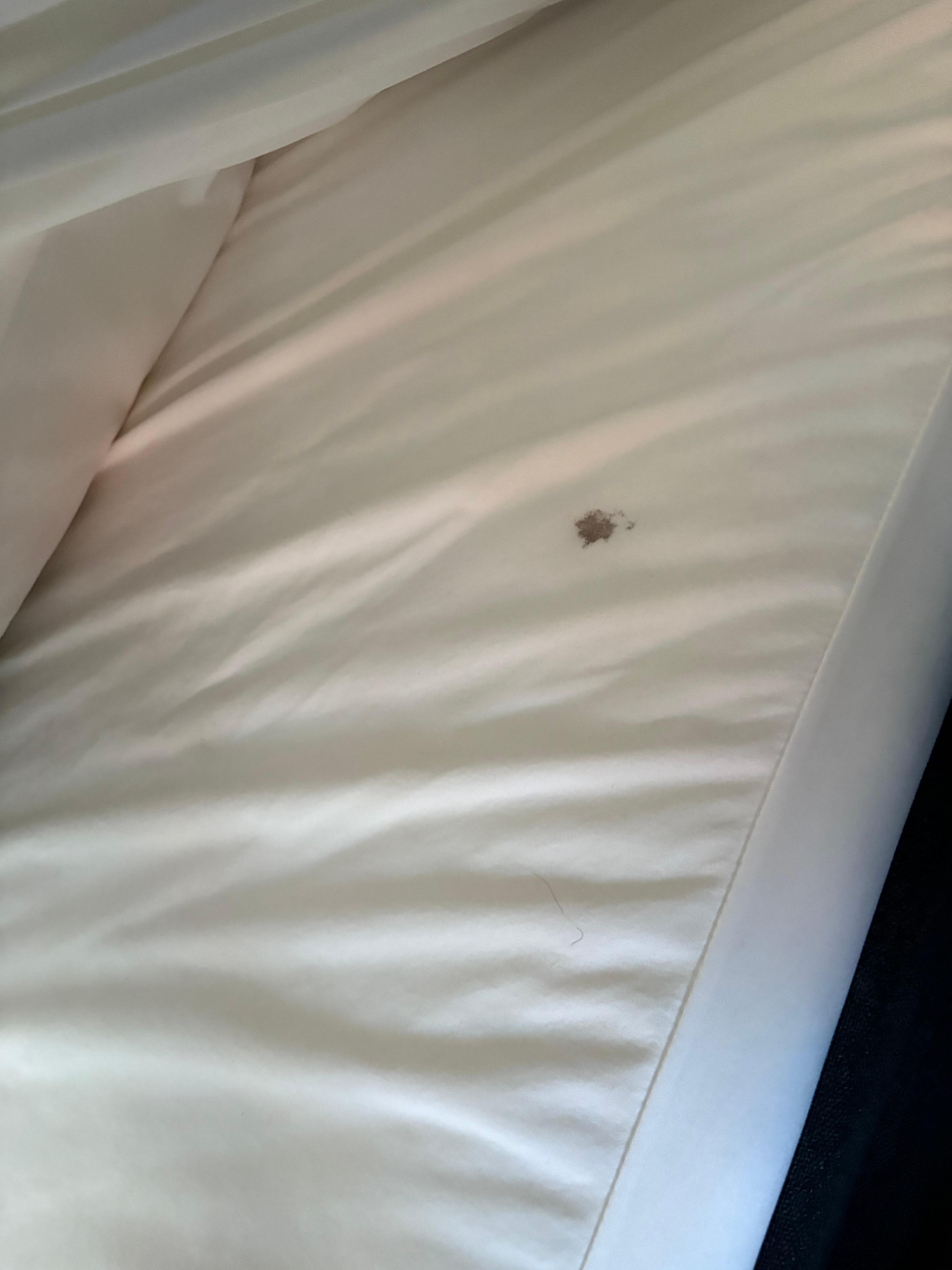 Blood(?) on mattress