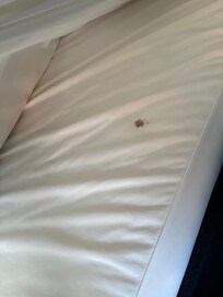 Blood(?) on mattress
