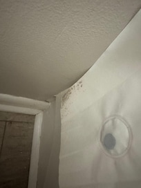 Mildew/mold on shower curtain.