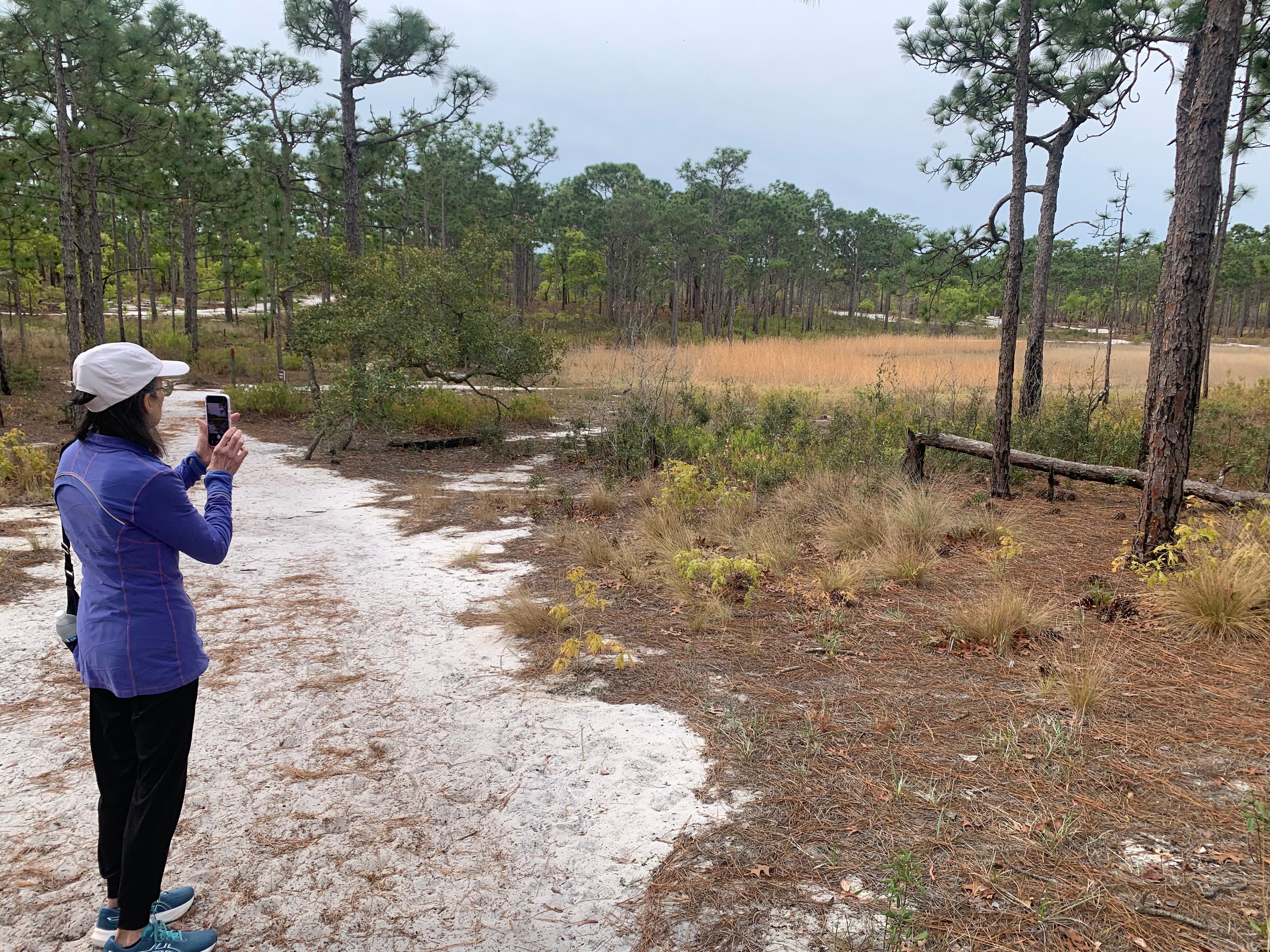 We walked a lot, but only saw a little of the Carolina Beach State Park which Ai says offers birding, kayaking, miles of maritime forest trails, picnic spots, salt marsh wildlife, fishing pier, and peaceful camping.