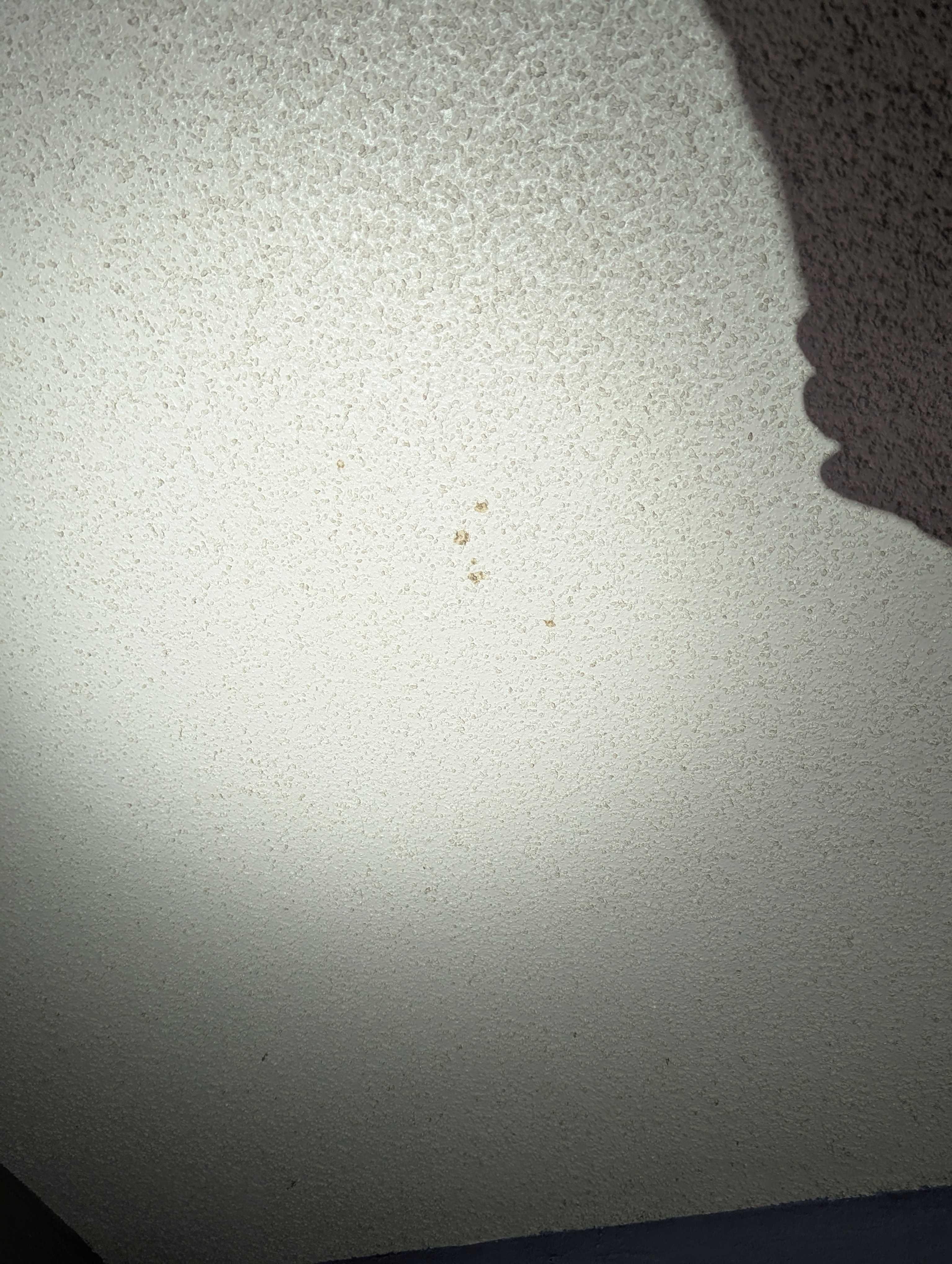 [possible] mold on the ceiling