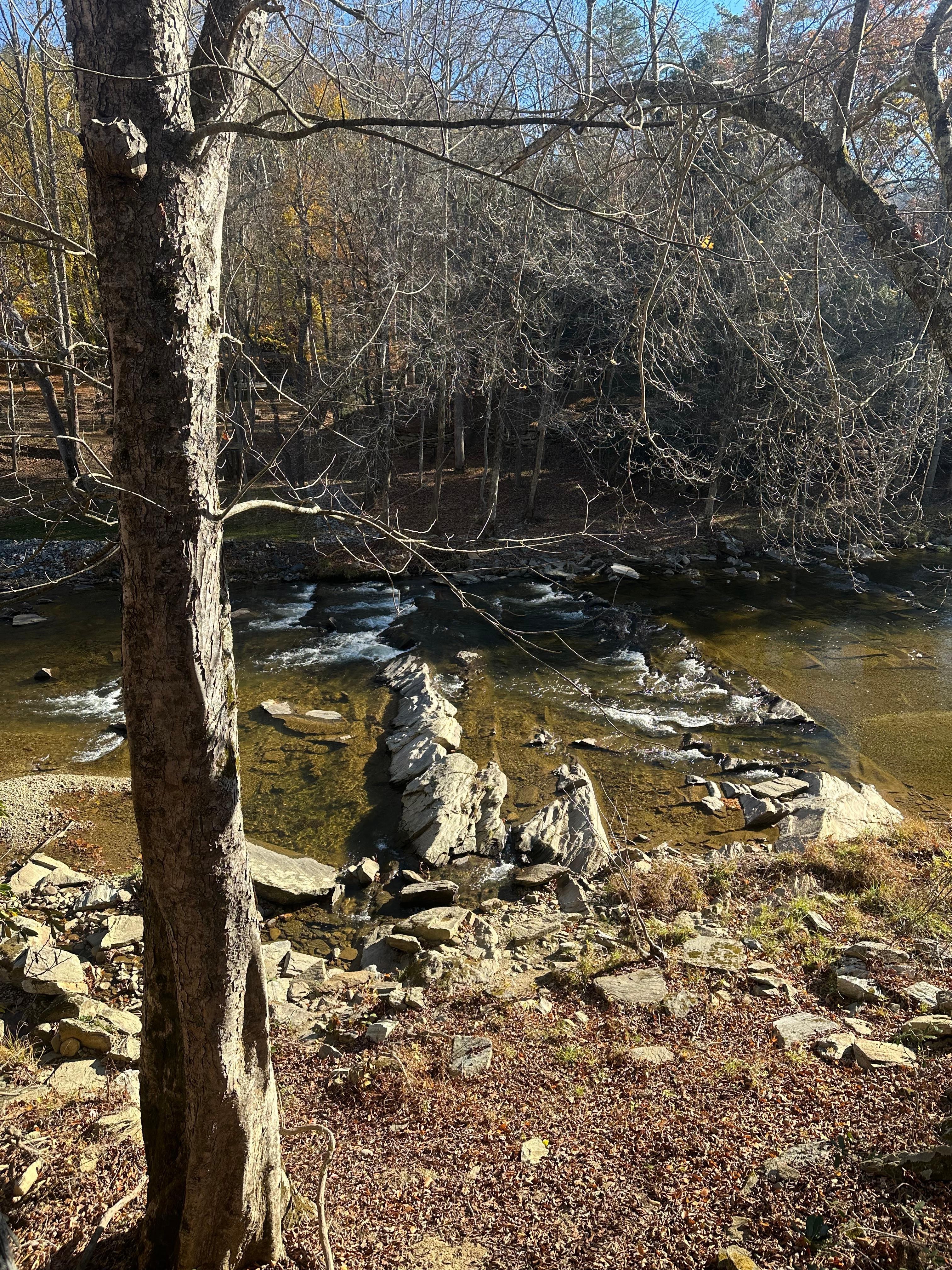 This is your view from downstairs or from your balcony suite
