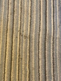 The entire carpet was stained