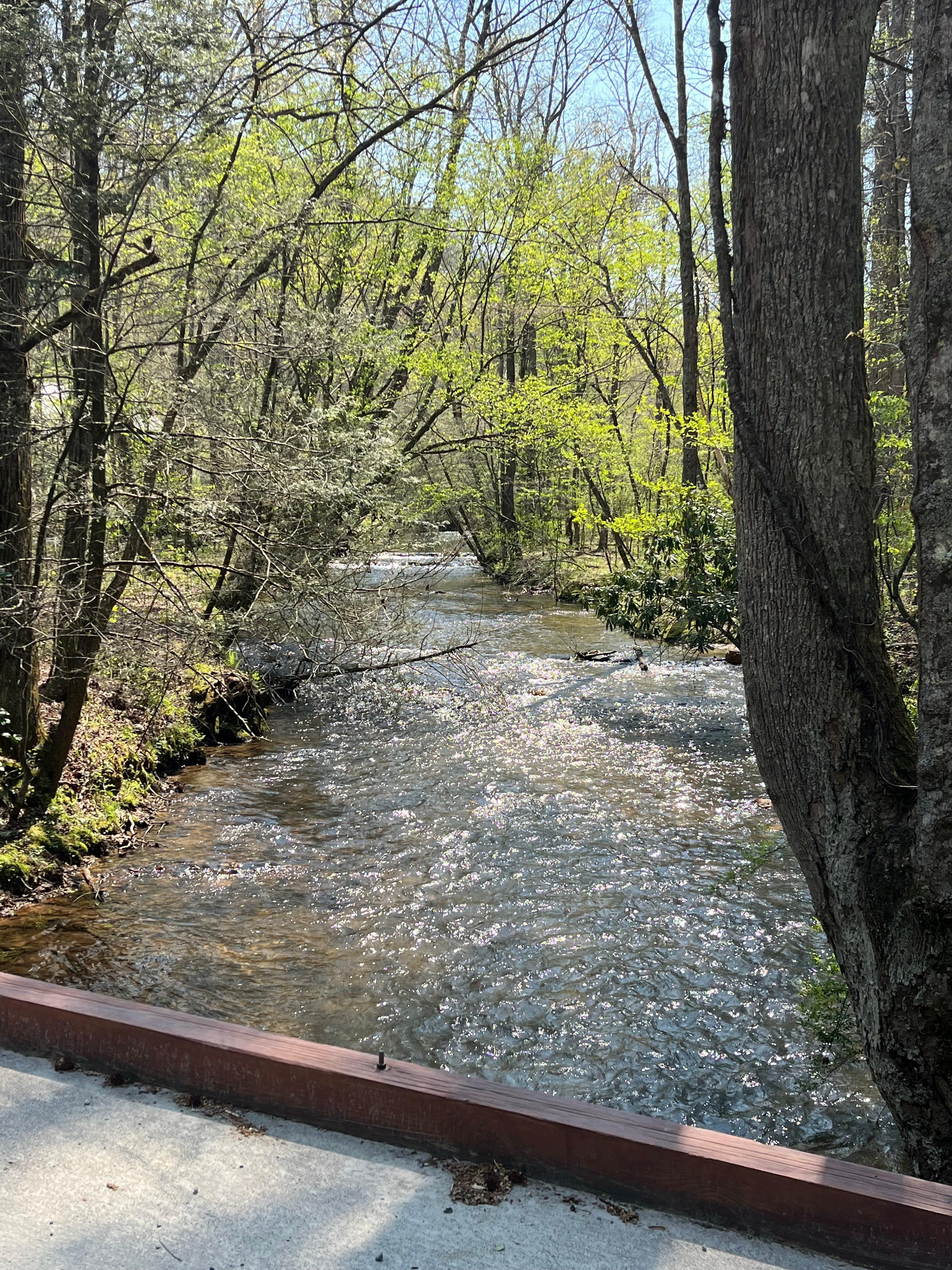Fightingtown Creek 