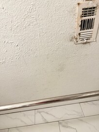 Moldy vent