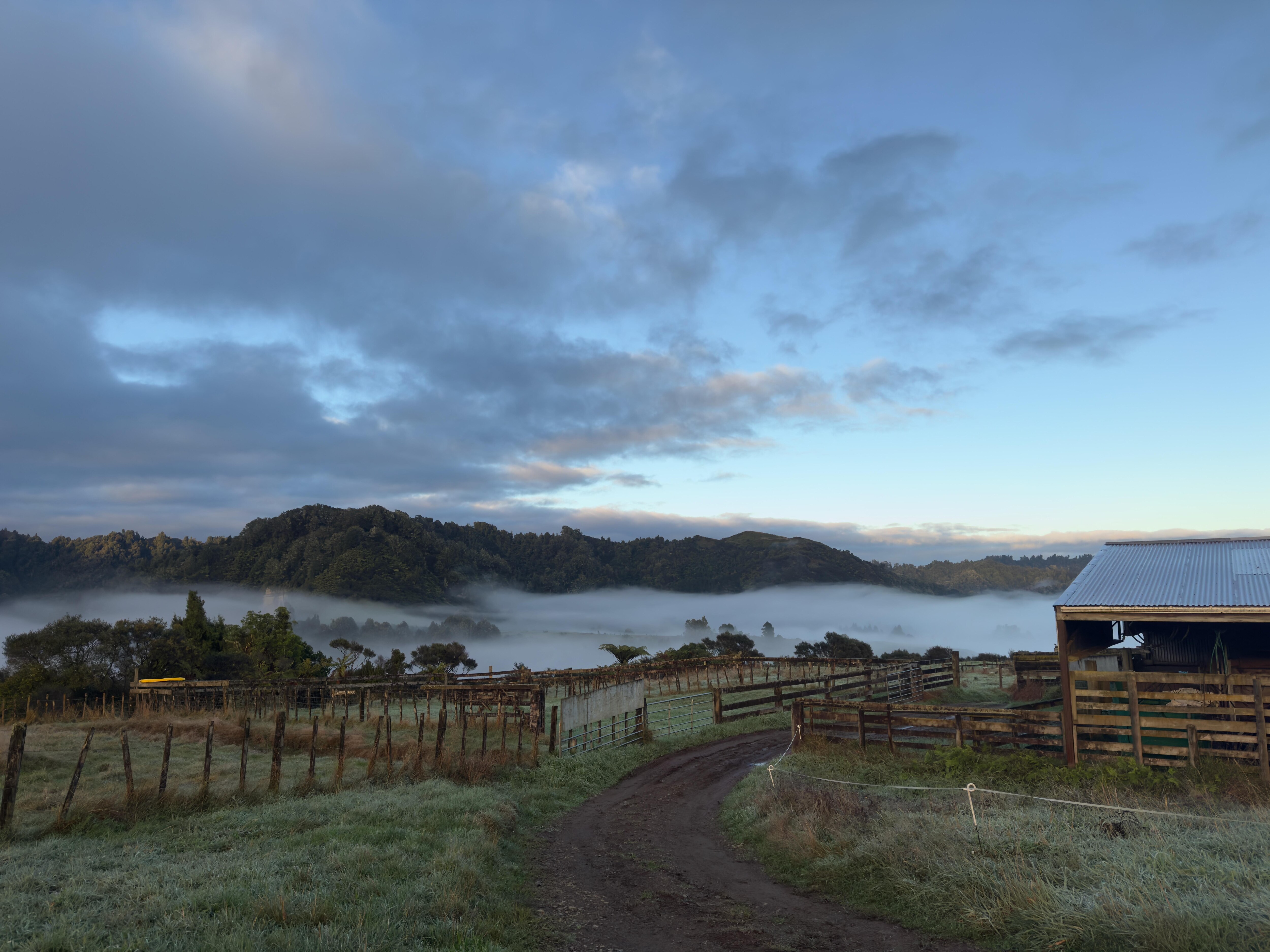 The view that greeted us each morning.