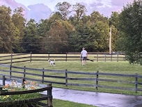 Great dog walking areas.