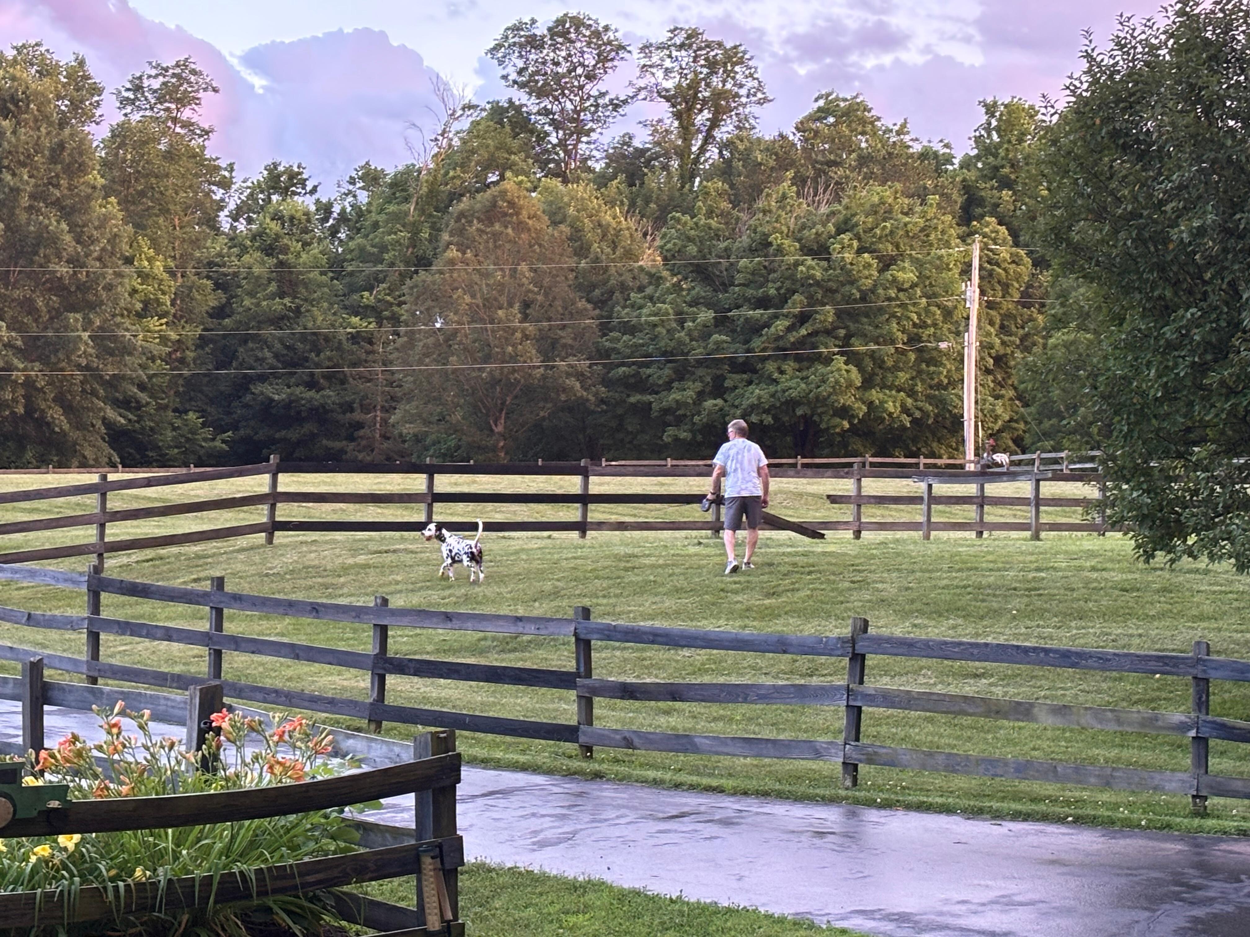 Great dog walking areas.