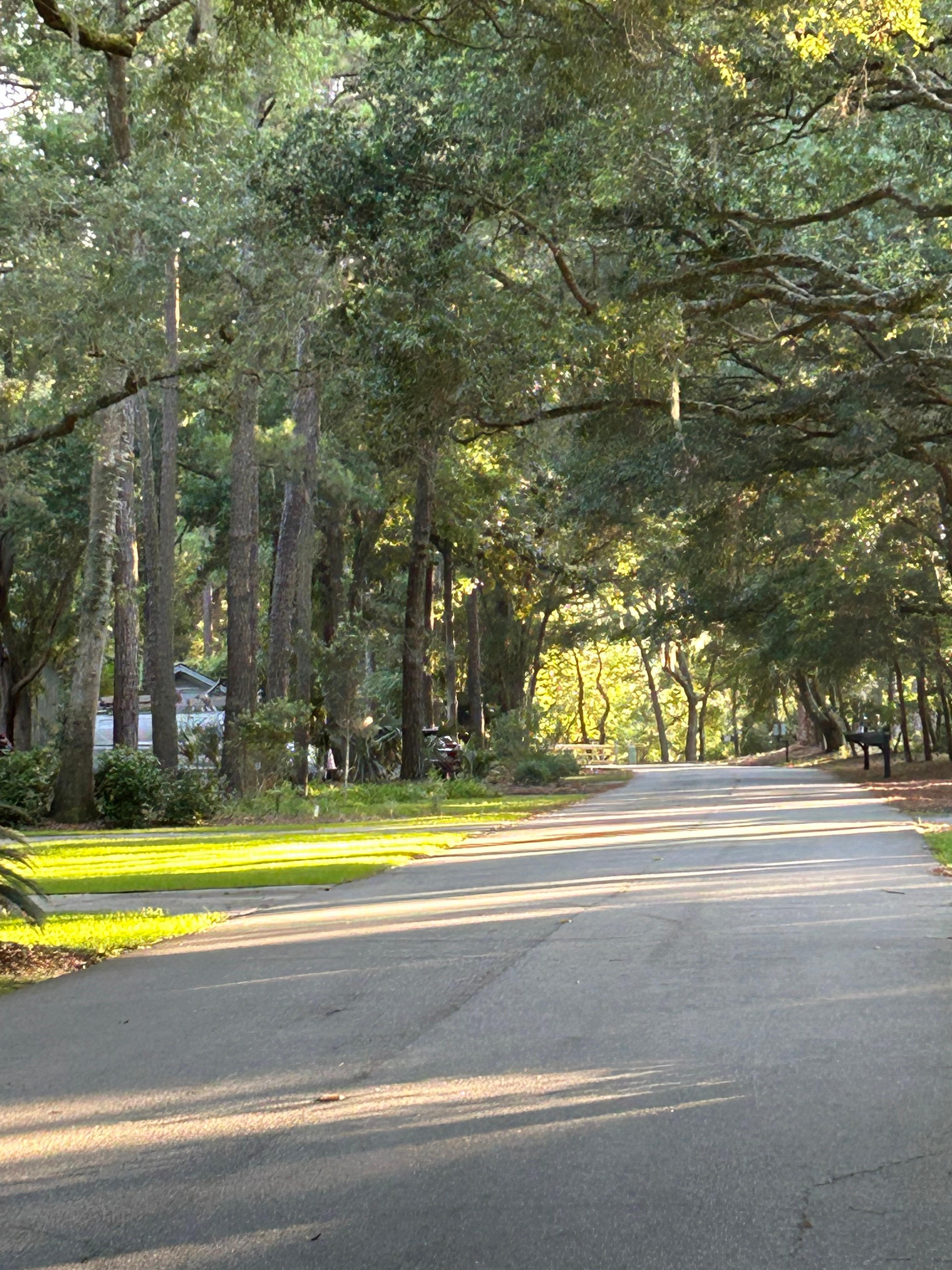 Beautiful neighborhood for walking.